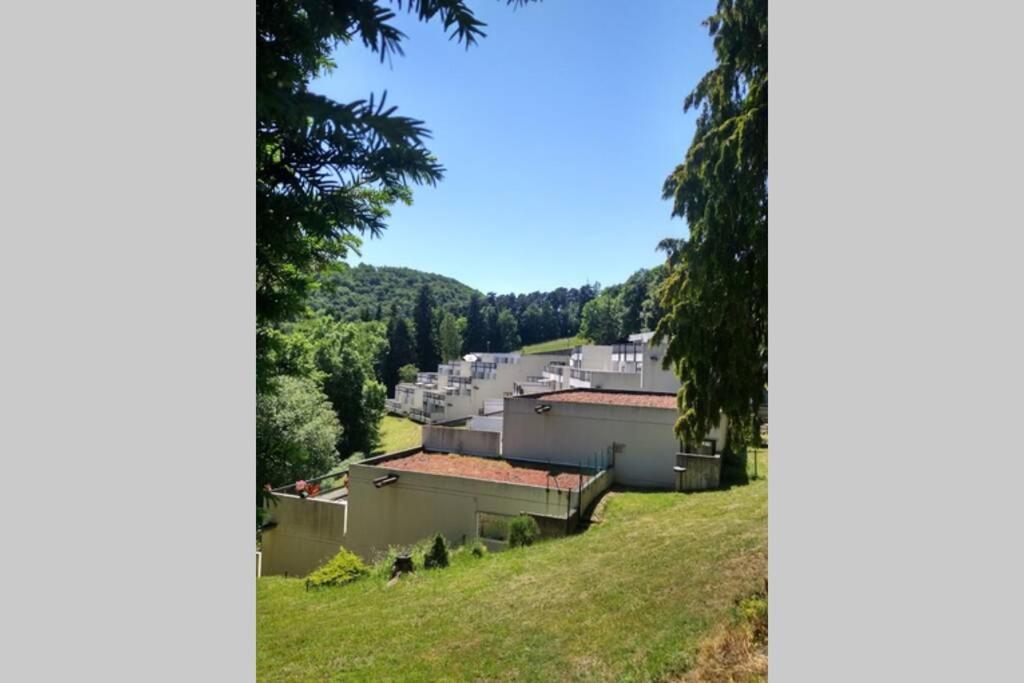 Studio Au Coeur Des Volcans D Auvergne - 米罗勒 外观 照片