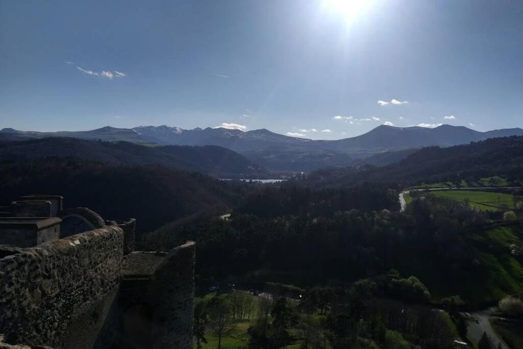 Studio Au Coeur Des Volcans D Auvergne - 米罗勒 外观 照片